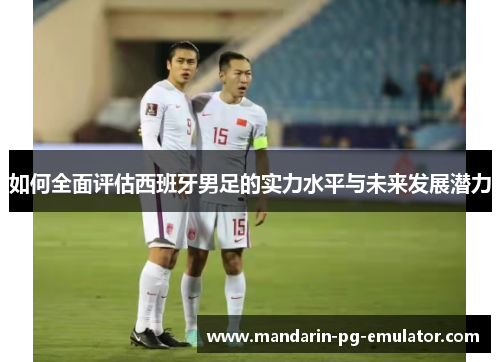 如何全面评估西班牙男足的实力水平与未来发展潜力