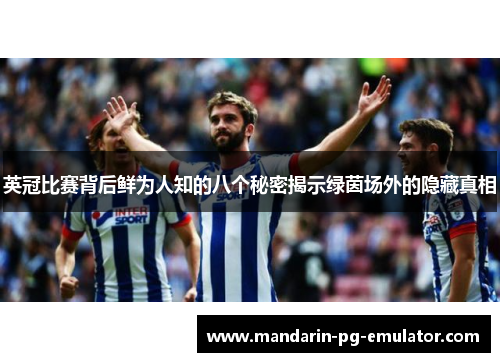 英冠比赛背后鲜为人知的八个秘密揭示绿茵场外的隐藏真相 英冠比赛背后鲜为人知的八个秘密揭示绿茵场外的隐藏真相